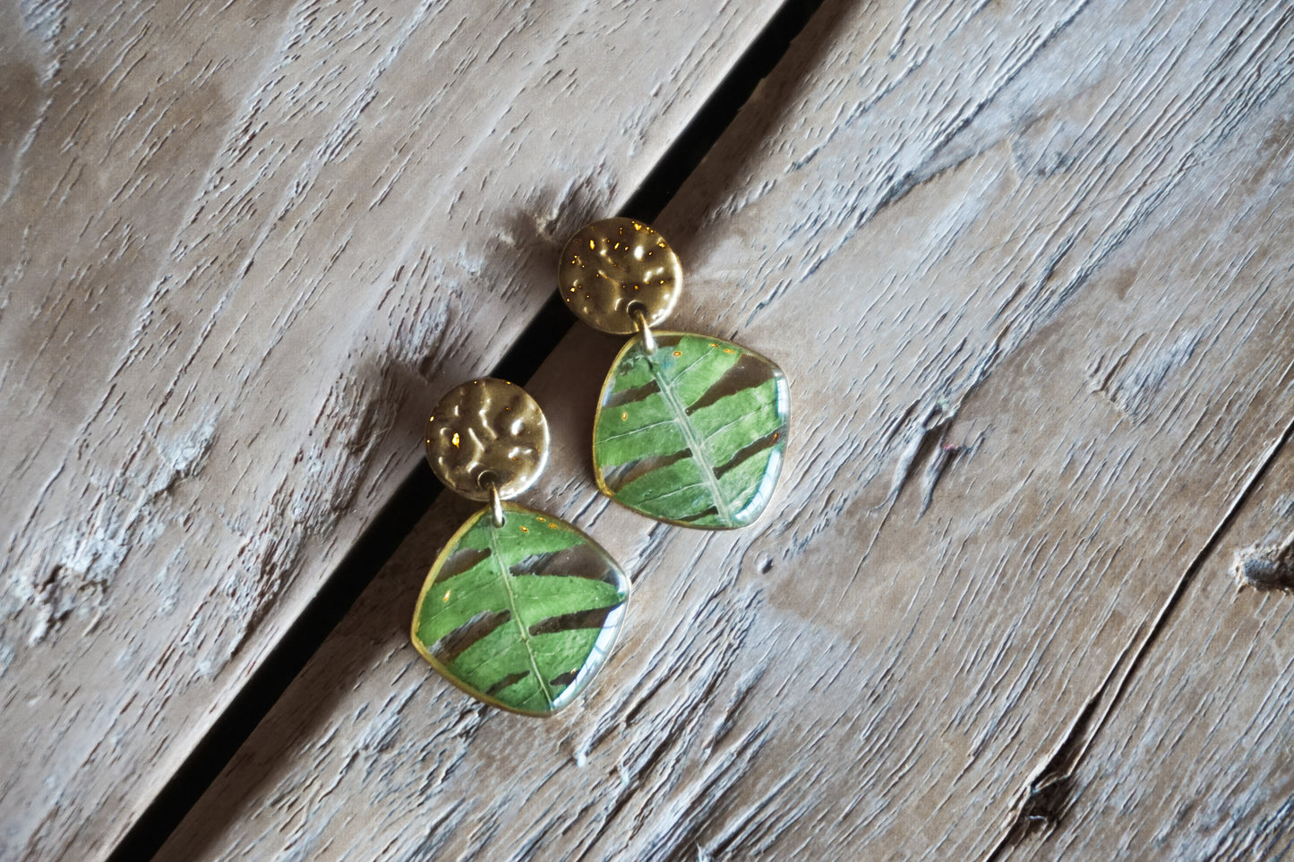 Boucles d'Oreilles Fougère