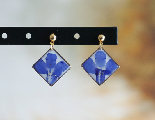 Boucles d'Oreilles Lobelia