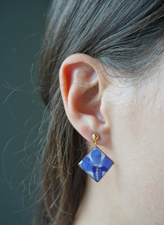 Boucles d'Oreilles Lobelia